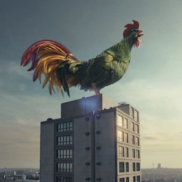 Kelloggs_Gallo-Cornelius_Campagna-2025-